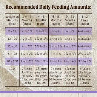 Feed​