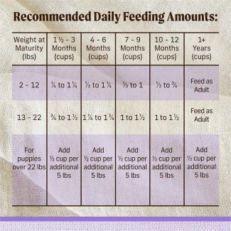 Feed​