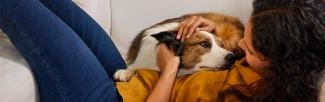 A woman in jeans petting a dog
