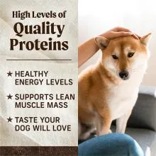 Quality Proteins dog with human hand on his head