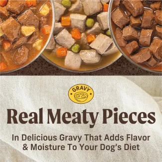 Merrick Chunky Grain Free Wet Dog Food varieties shown in bowls. A yellow icon with a bowl of food read the word "gravy." Text below says "Real meaty pieces in a delicious gravy that adds flavor and moisture to your dog's diet"