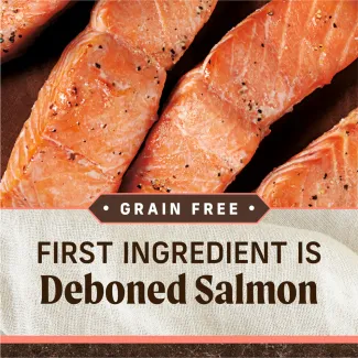 A close-up of strips of cooked salmon. Text below reads "Grain free. First ingredient is deboned salmon"