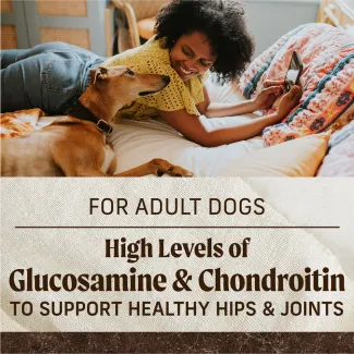 A woman lays on a bed looking down and smiling at a brown dog laying next to her. Below, text reads "high levels of omega fatty acids to support healthy skin and coat. Contains glucosamine and chondroitin to help support healthy hips and joints"