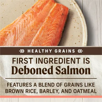 A topdown photo of raw salmon on a speckled tan plate; text below reads "healthy grains. First ingredient is deboned salmon. Features a blend of grains like brown rice, barley, and oatmeal"