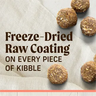 Pieces of kibble on a tan cloth background with text that reads "freeze-dried raw coating on every piece of kibble"