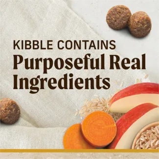 Pieces of kibble, sliced apples, slices sweet potatoes and brown rice sit on a tan cloth background; text reads "kibble contains purposefu real ingredients"