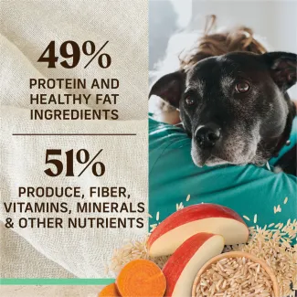 On the right, a senior black dog looks over the shoulder of a person hugging it; below sits sliced apples, slices sweet potatoes and brown rice; to the left, text reads "49% protein and healthy fat ingredients. 51% produce, fiber, vitamins, minerals, and other natural nutrients" 