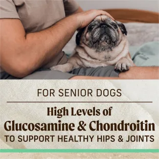 The top of the image show a senior pug snuggling into a man's lap; below text reads "For adult dogs. high levels of glucosamine and chondroitin to help support healthy hips and joints"