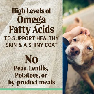 On the right is an image of a tan and white senior dog being pet by a person off camera; to the left text reads "high levels of omega fatty acids to support healthy skins and and a shiny coat. No peas, lentils, potatoes, or by-product meal"