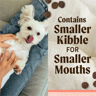 Lil' Plates Small Breed Real Salmon Dry Dog Food | Merrick Pet Care