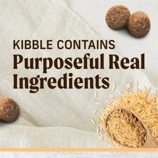 Pieces of kibble and brown rice on a tan cloth background with text that reads "kibble contains purposeful real ingredients" 