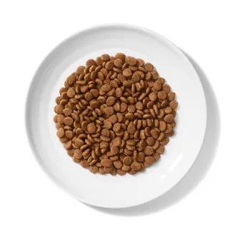 Merrick Purrfect Bistro Grain Free Pasture-Raised Lam and Carrot Recipe Dry Cat Food product. 