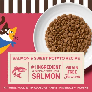 Merrick Purrfect Bistro Grain Free Salmon and Sweet Potato Recipe Dry Cat Food. #1 ingredient is salmon. Natural food with added vitamins, minerals + taurine.
