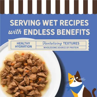 Serving wet recipes with endless benefits. Tantalizing textures. Healthy Hydration. Wholesome source of protein. 