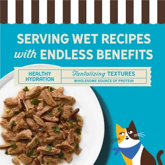 Serving wet recipes with endless benefits. Tantalizing textures. Healthy Hydration. Wholesome source of protein. 