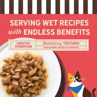 Serving wet recipes with endless benefits. Tantalizing textures. Healthy Hydration. Wholesome source of protein. 