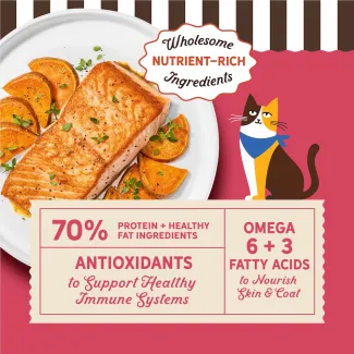 Serving wet recipes with endless benefits. Tantalizing textures. Healthy Hydration. Wholesome source of protein.