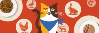 Merrick Purrfect Bistro cartoon calico cat with heart eyes as images of a chicken, rabbit, fish, lamb and duck appear in the background along with a plate of Purrfect Bistro dry cat food and another plate with pate.