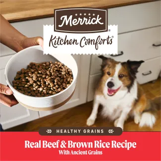 Merrick Kitchen Comforts Healthy Grains Real Chicken and Brown Rice Recipe with Ancient Grains. 