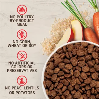 No poultry by product, corn, wheat or soy, artificial colors or preservatives, peas, lentils or potatoes.