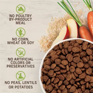 No poultry by product, corn, wheat or soy, artificial colors or preservatives, peas, lentils or potatoes.