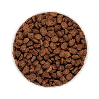 Merrick Kitchen Comforts Real Salmon and Brown Rice Recipe kibble in a white bowl.