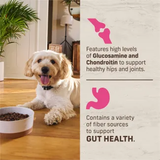 Features high levels of Glucosamine and Chondroitin to support healthy his and joints. Contains a variety of fiber sources to support gut health.