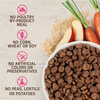 No poultry by product, corn, wheat or soy, artificial colors or preservatives, peas, lentils or potatoes.