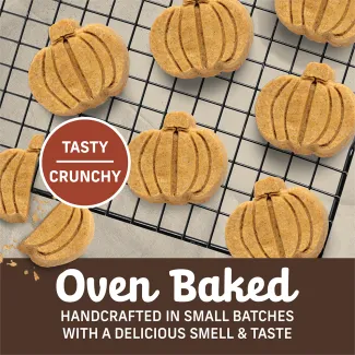 Crunchy Oven Baked Dog Treats shaped like pumpkins.