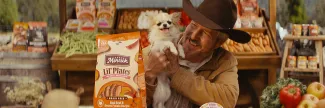 A Guide to Grain Free Dog Food for Small Dogs