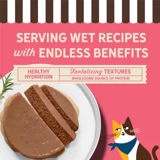 Smooth wet cat food pate highlighting hydration, protein and soft texture.