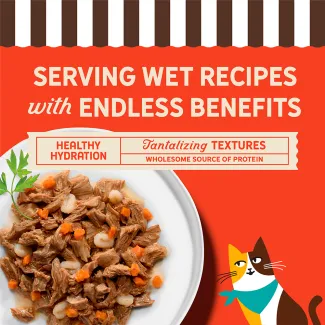 Grilled wet cat food morsels in sauce highlighting hydration, protein and tender textures.