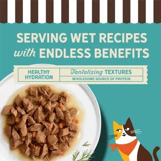 Wet cat food chunks in gravy highlighting hydration, protein and tender textures.