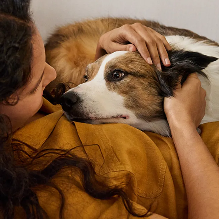 Woman patting dog