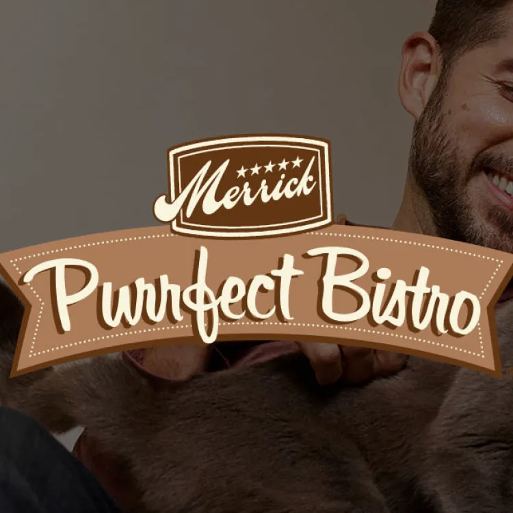 Man with cat and Merrick Purrfect Bistro sign. 