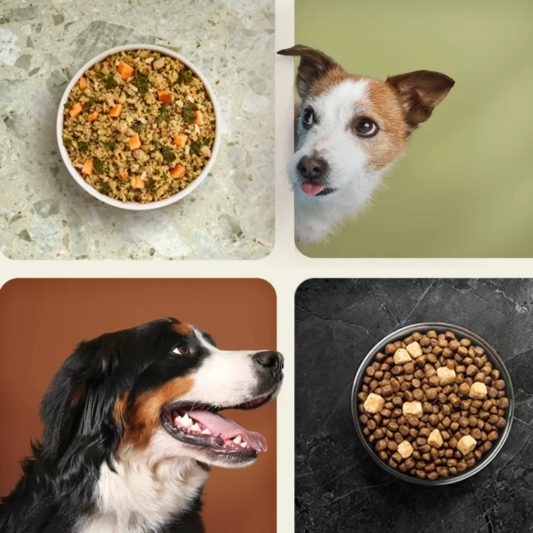 dogs and dog food images broken into squares