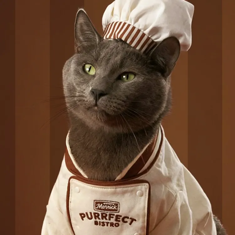 Merrick Purrfect Bistro cat in a chef outfit and hat