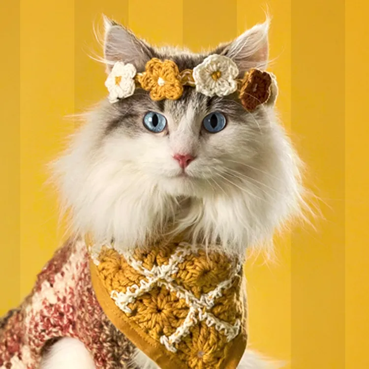 Merrick Purrfect Bistro cat in a crochet flower headband and shawl