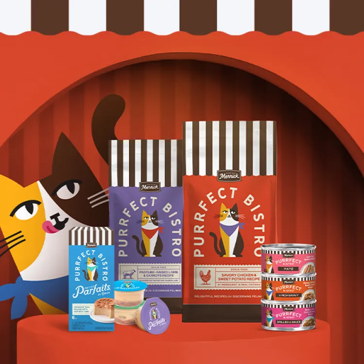 Canada Purrfect Bistro