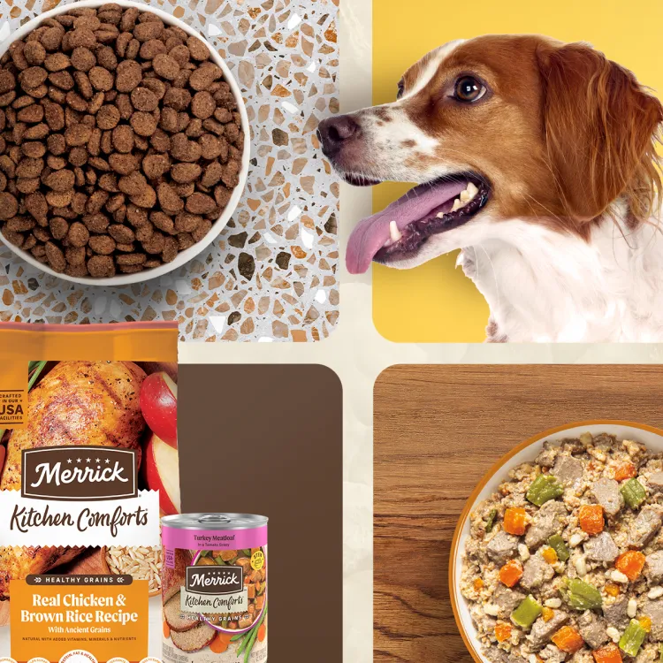 block grid showing images of a dog and dog food